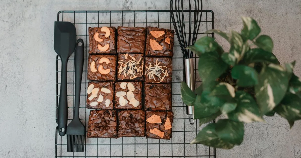 sourdough brownies