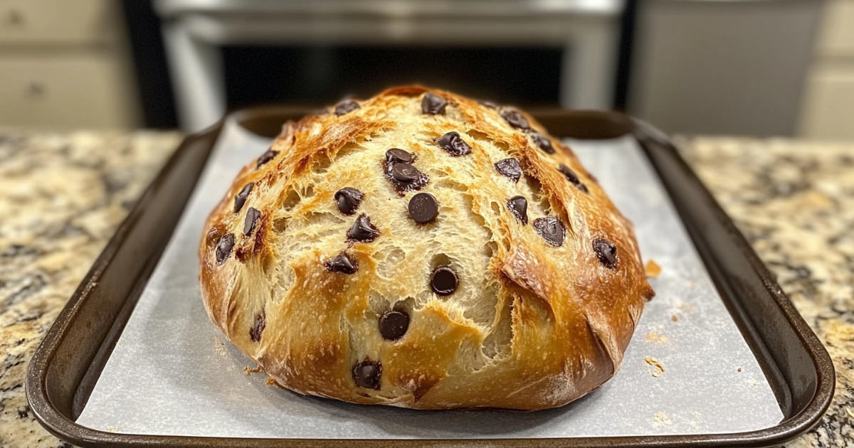 chocolate chip sourdough bread